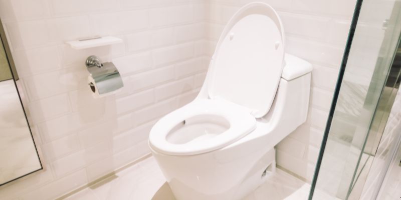 Como Desentupir Vaso Sanitário Que Caiu Objeto Dentro em Maringá: 4 Técnicas